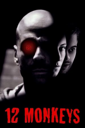 12 Monkeys (1995) Dual Audio | Hindi Full Movie BluRay 400MB