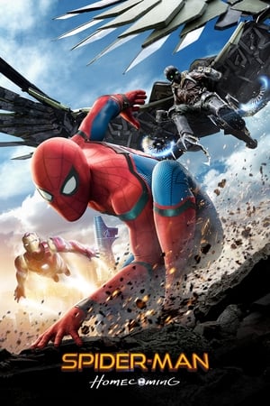 Spider-Man Homecoming 2017 Dual Audio Full Movie | Hindi Full Movie Bluray - 1.2GB
