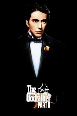 The Godfather Part II (1974) Dual Audio Full Movie | Hindi Full Movie BluRay - 1GB